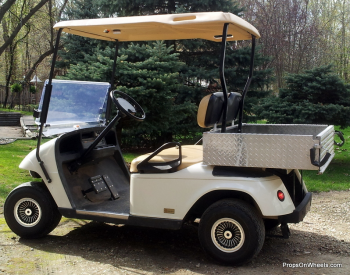 Our Golf Cart